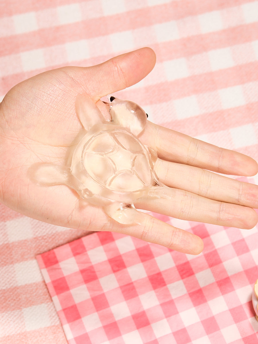 Transparent Turtle Squishy Toy