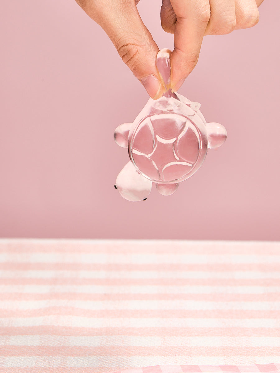 Transparent Turtle Squishy Toy