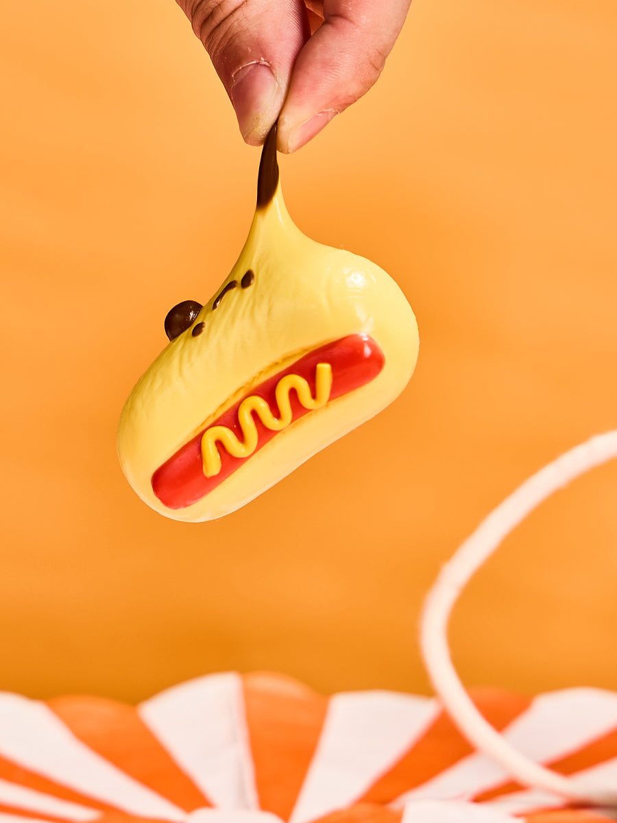 Cute Hotdog Squishy Toy