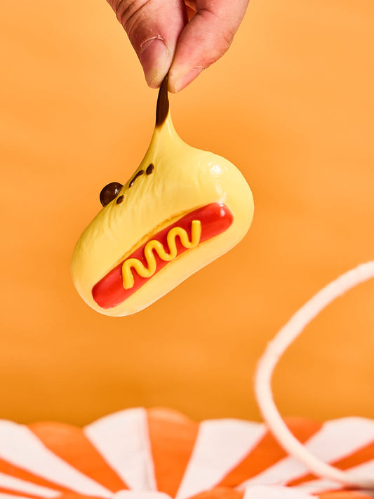 Cute Hotdog Squishy Toy